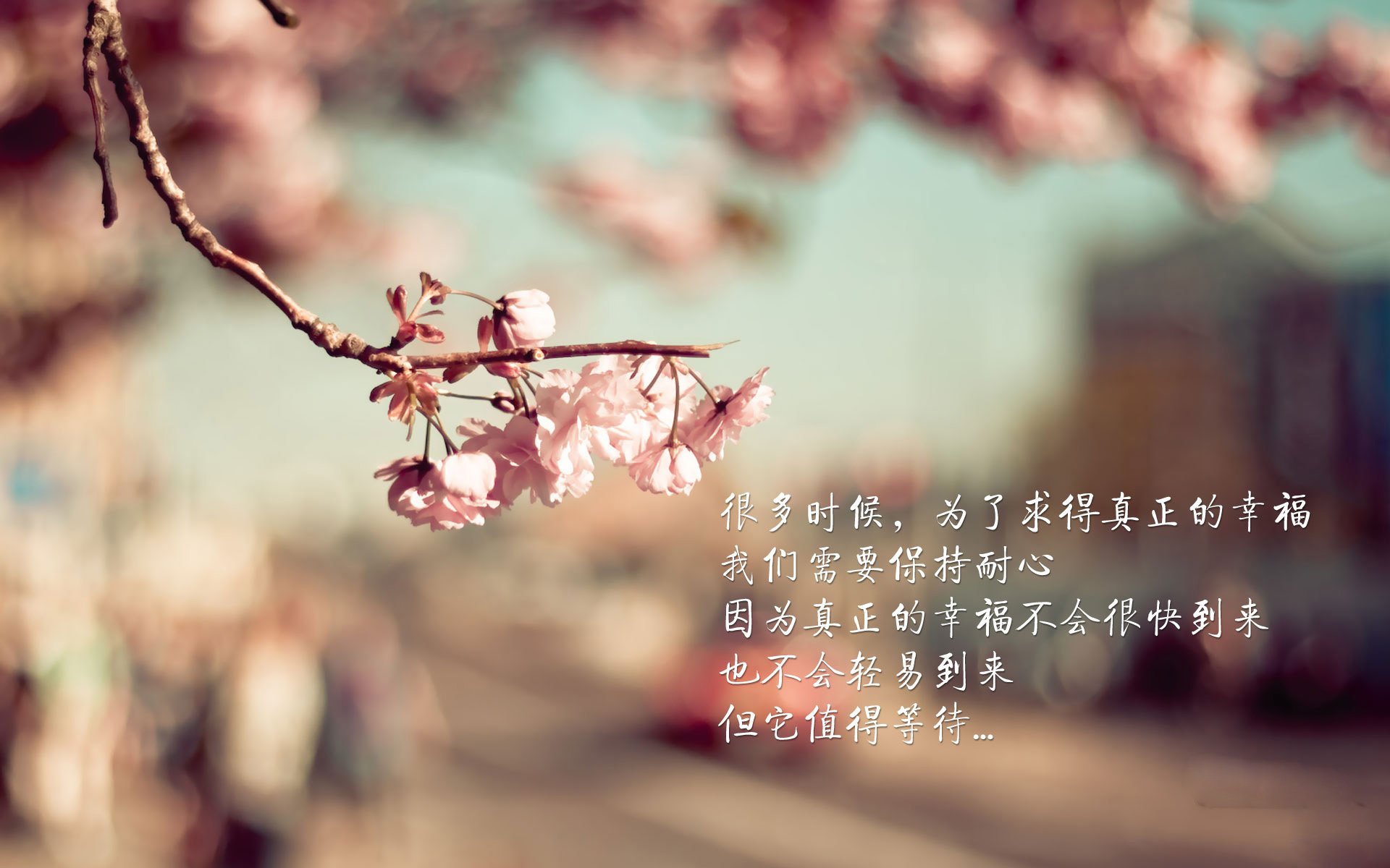 历史首次！辽宁弃将赵继伟领衔篮网横扫吉林王朝