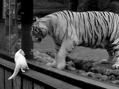 爱游戏APP-魔幻夜赛上演惊天逆转！勒克莱尔极限驾驶助雷诺打破梅赛德斯垄断