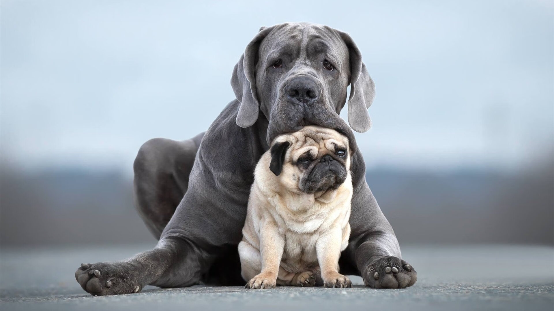 羽坛石破天惊,鏖战五局,印尼队惊天翻盘马来西亚,石宇奇杀出新王炸