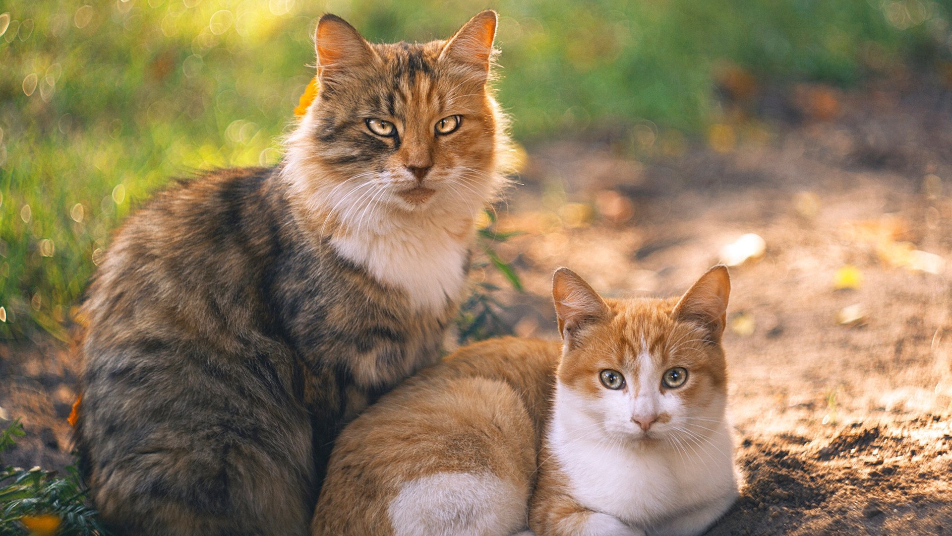 佛罗伦萨的回响，格列兹曼用文艺复兴笔法横扫智利