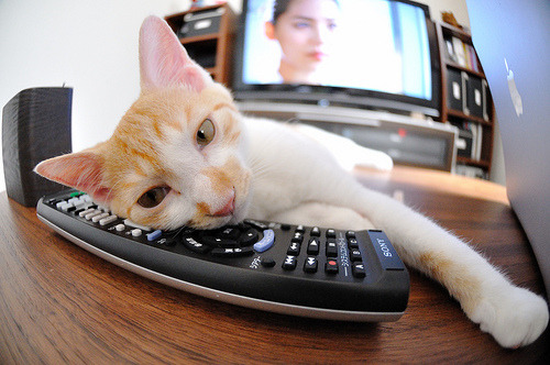 幽灵主场，当黄蜂的毒刺刺穿火箭的升空梦—记一场颠覆认知的总决赛完胜