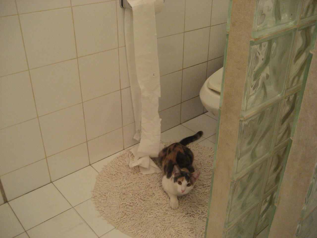 新大陆的加冕礼，当美国足球按下终极加速键