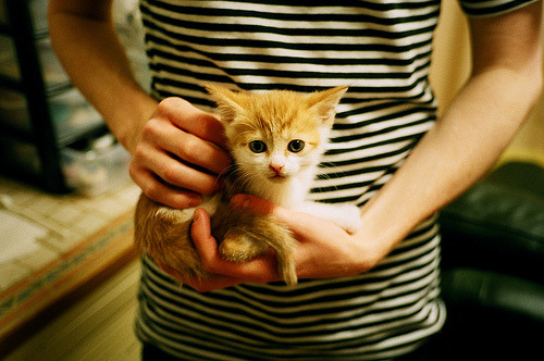 布赛尔一夜,当赛道数据开始尖叫