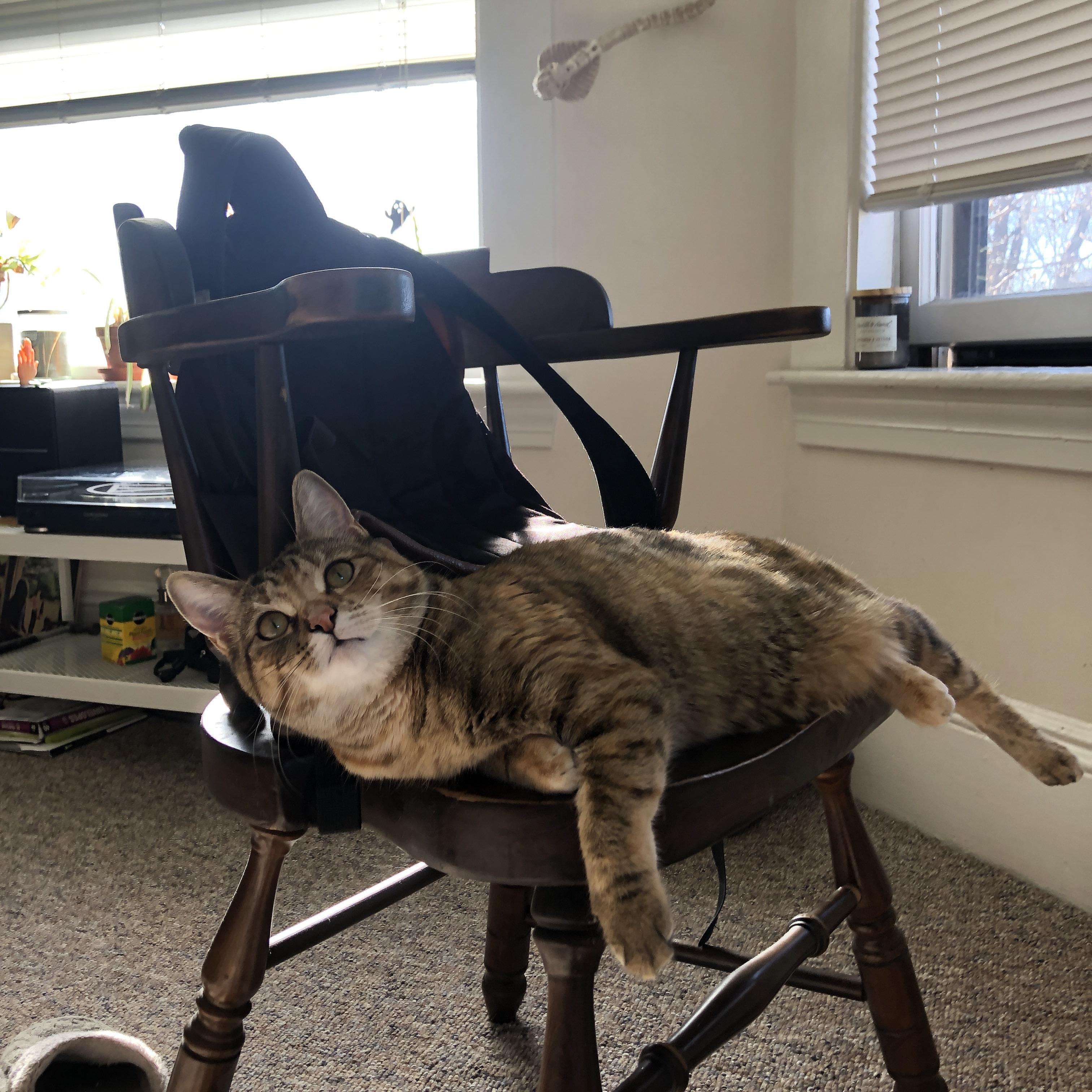 恩比德统治攻防两端，步行者力克猛龙获全场最佳无争议