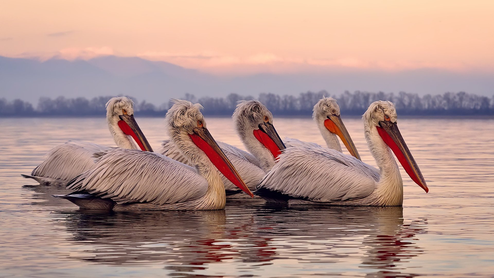 雨刷横扫多伦多,影子的显形,当乔治成为步行者的绝对坐标