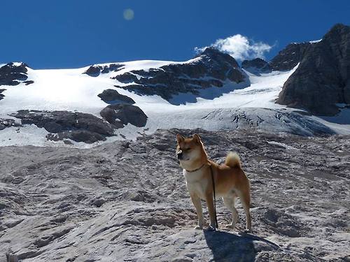 东决史诗夜，帕尔默破茧