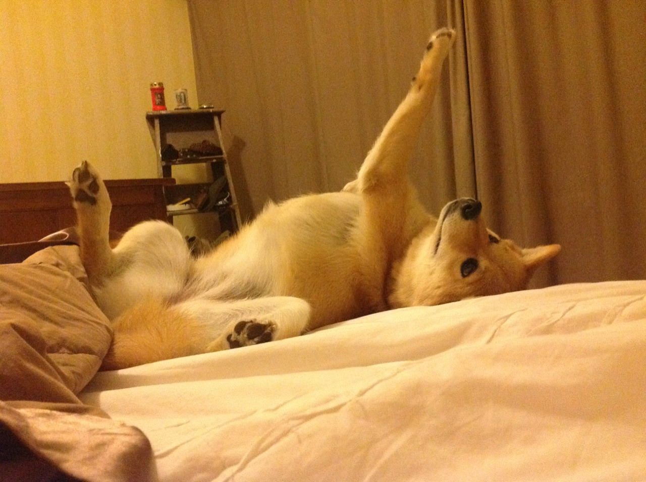 爱游戏入口-世界排名争夺战焦点战，鏖战补时，日本终场前绝杀哥伦比亚