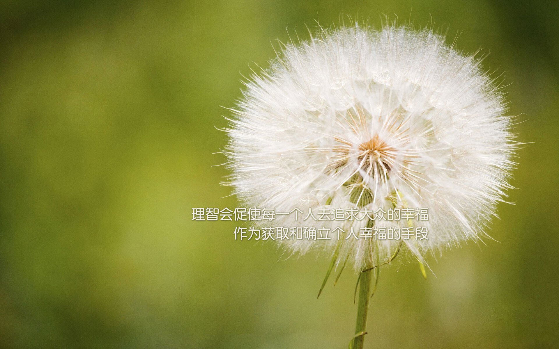 绝境方显英雄胆，保罗一剑定乾坤—辽宁关键战突围广厦纪实