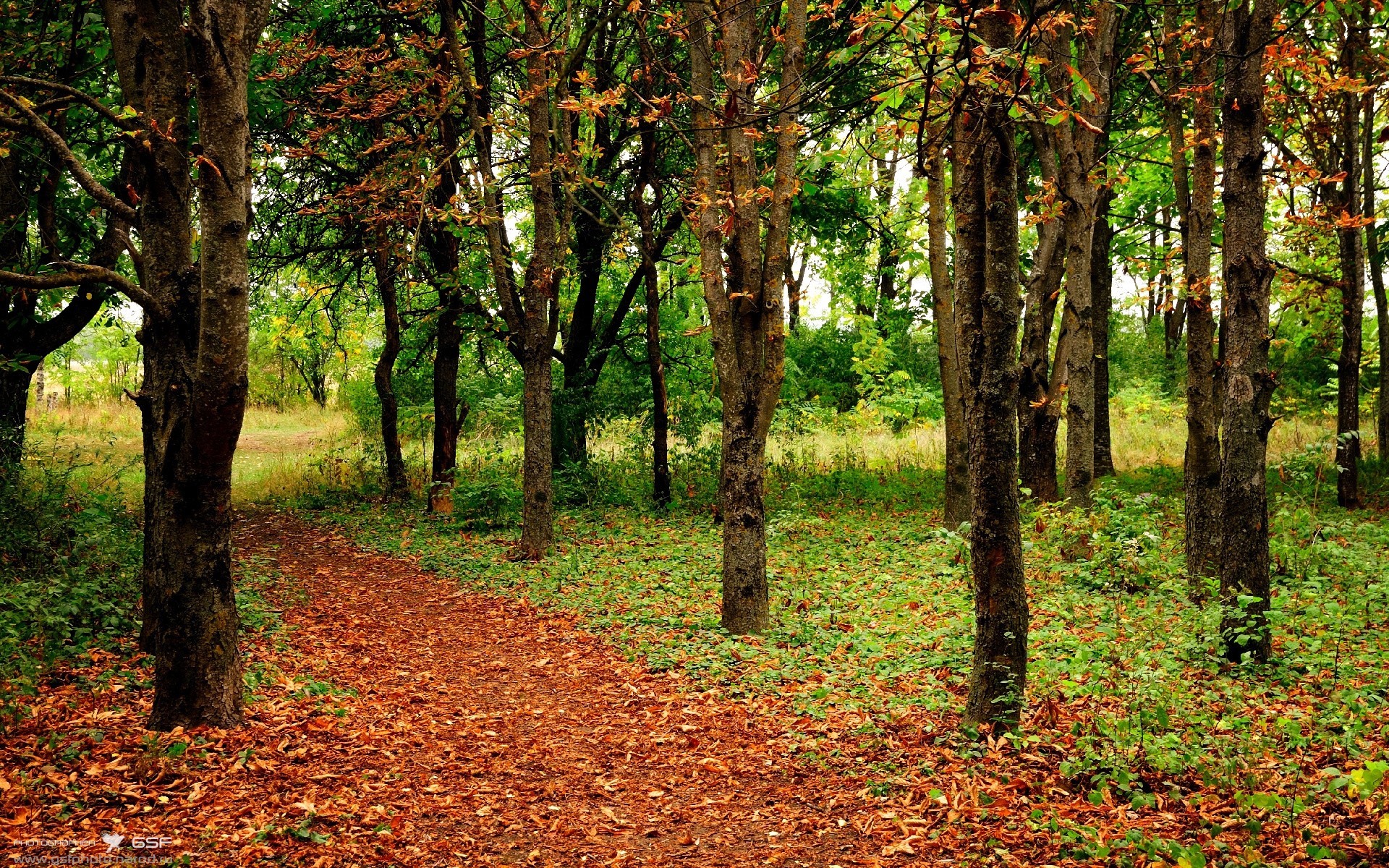 唯一铁闸，托尼如何在对阵墨西哥的夜晚封印球场