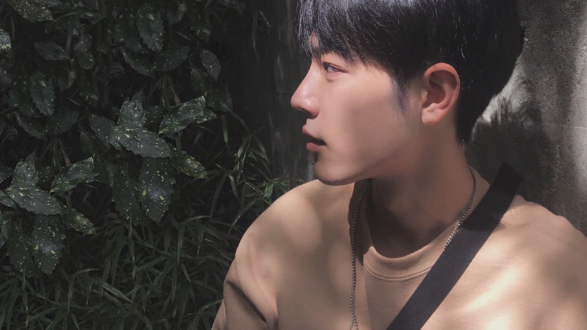 双星闪耀夜,勇士加时擒狼续写坚韧,东契奇独舞主宰赛场命运 团队鏖战与个人统治力的完美交响,NBA之夜诠释篮球多元魅力