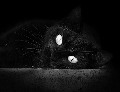 安菲尔德的交响与覆灭，利物浦用钢铁狂想曲击碎拜仁精密机器