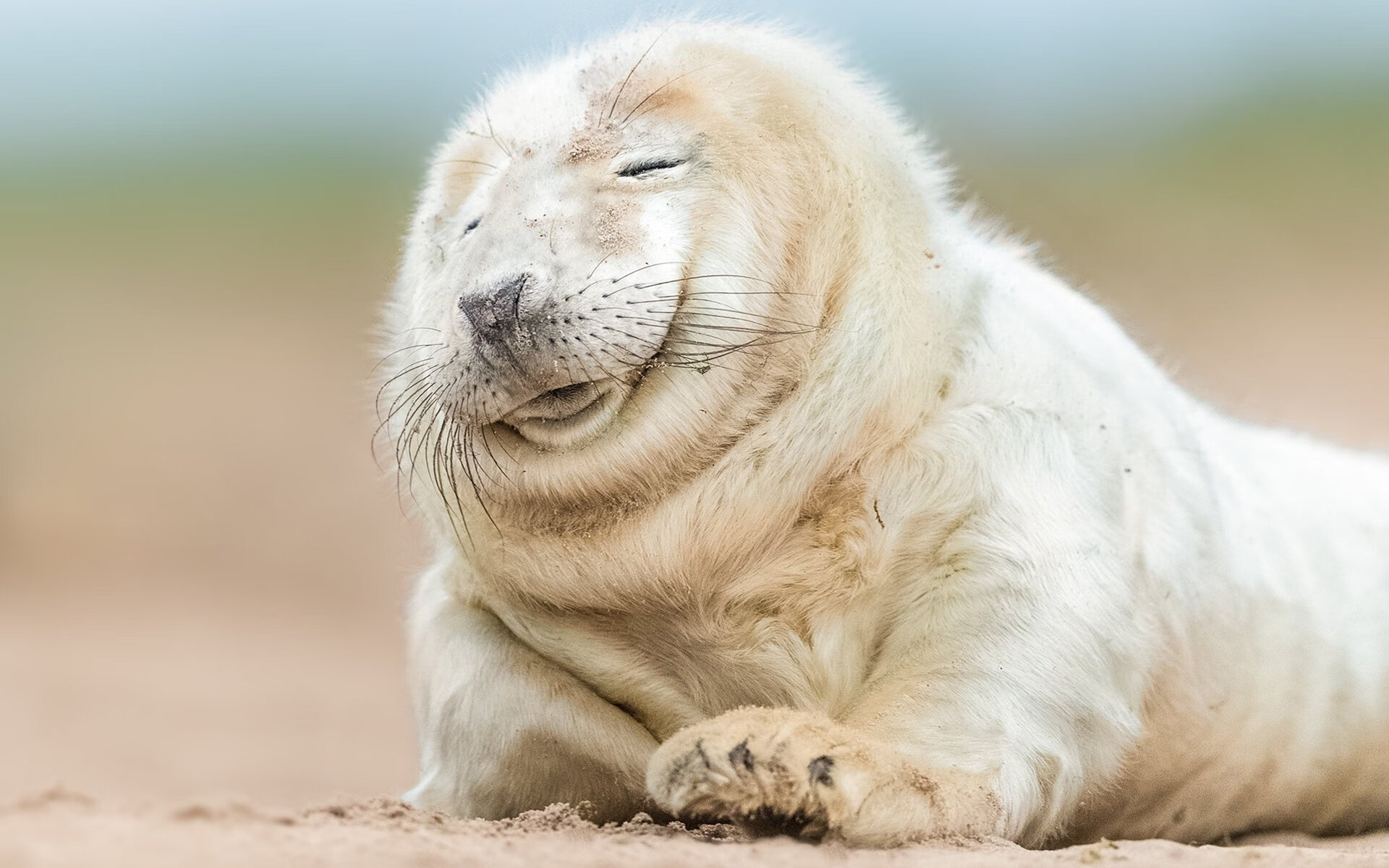 冰与火之歌，当吉林团队绝杀照亮利拉德的个人英雄主义教科书