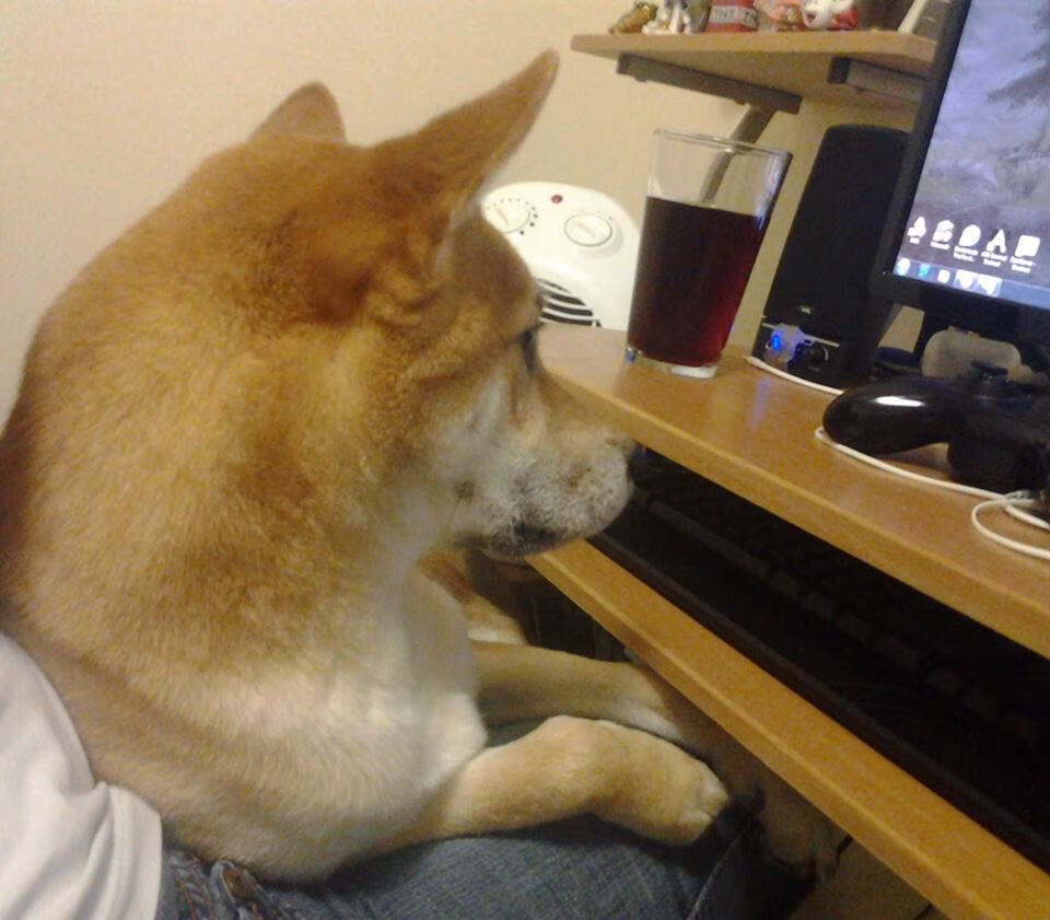 新王诞生!欧冠半决赛之夜贝林厄姆导演史诗逆转