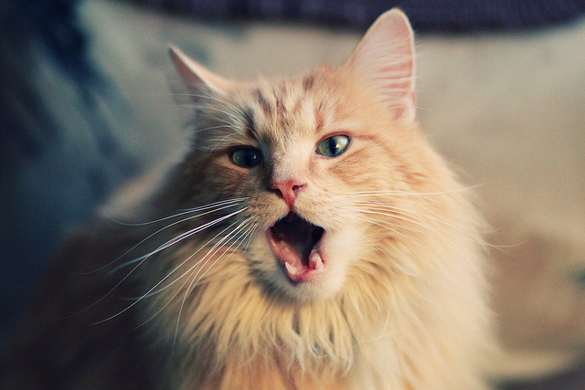 当加泰罗尼亚遇见非洲之心，赖斯在巴萨vs安哥拉慈善赛中打出生涯唯一之夜