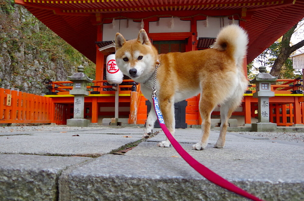 足球世界的一日三幕剧，C罗定义传奇，冰岛书写历史，国米揭开新章