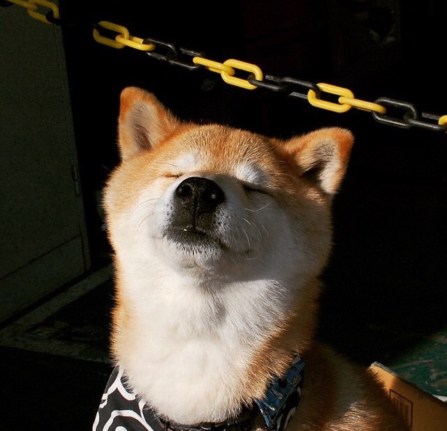 不务正业的尖刀，阿尔瓦雷斯防守端锁死核心，皇马意外大胜安哥拉