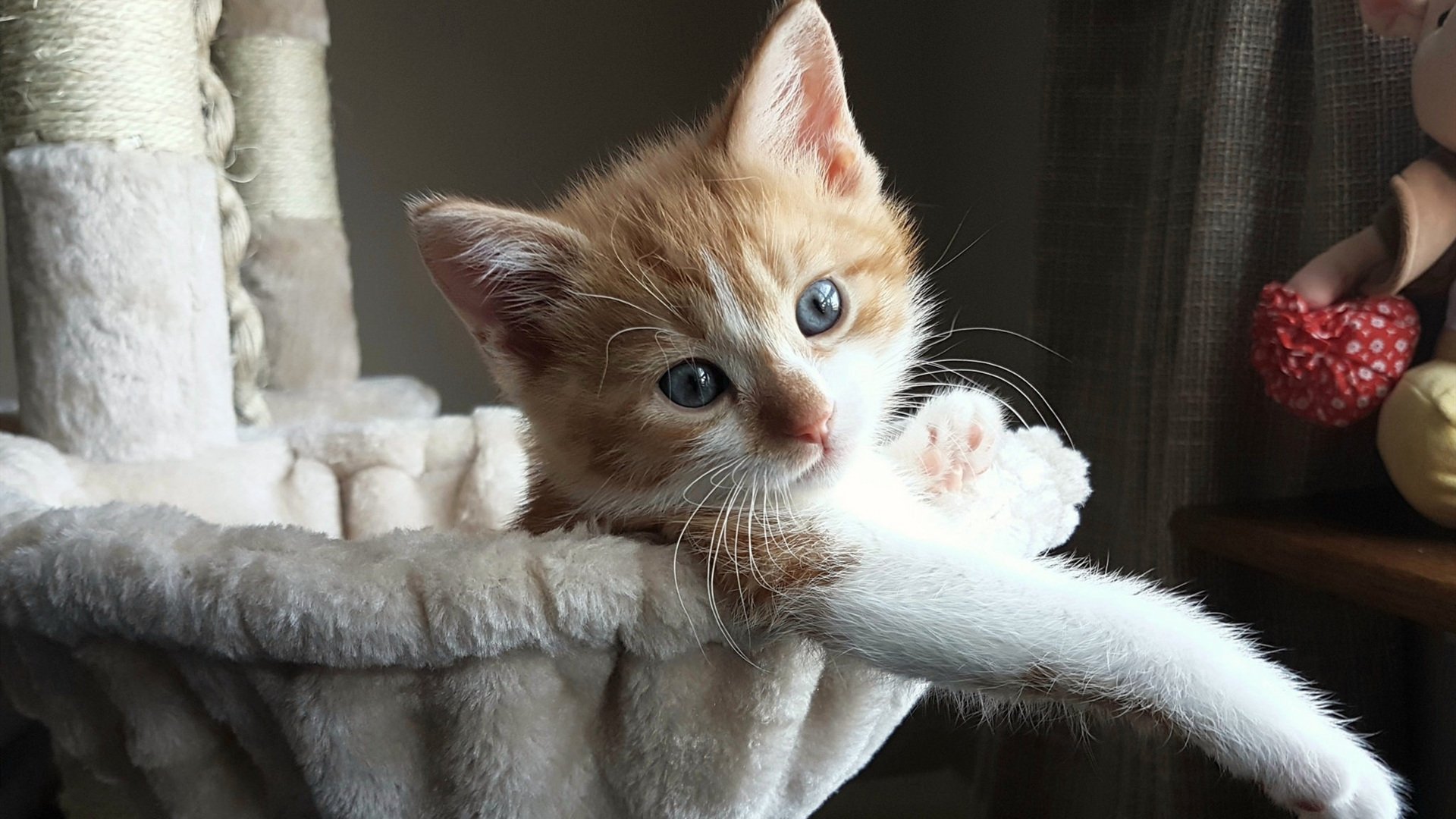 数据全面爆炸的守门艺术，库尔图瓦凭一己之力为切尔西筑起叹息之墙