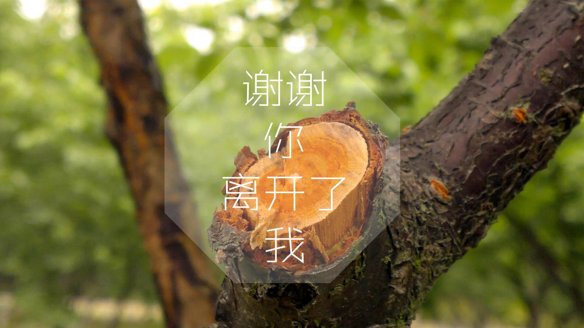 2026盛夏之役,C组死亡齿轮咬合,日本风暴刮倒匈牙利,拉什福德独舞定乾坤